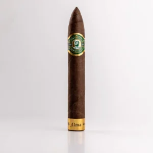 Torpedo Alma